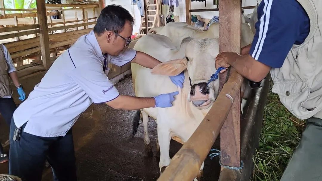 Diskanak Kabupaten Bogor Siagakan Tim Pengamanan dan Posko Pemeriksaan Hewan Kurban