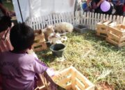 Hadirkan Mini Zoo Meriahkan HJB ke-543, Diskanak: Sarana Edukasi Ramah Anak