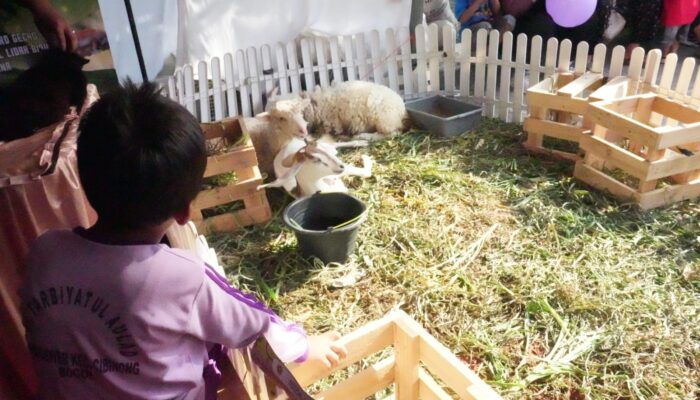 Hadirkan Mini Zoo Meriahkan HJB ke-543, Diskanak: Sarana Edukasi Ramah Anak