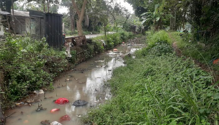 Irigasi Sasak BSK 7 Sampai 11 di Kecamatan Ciseeng Kumuh dan Dipenuhi Sampah