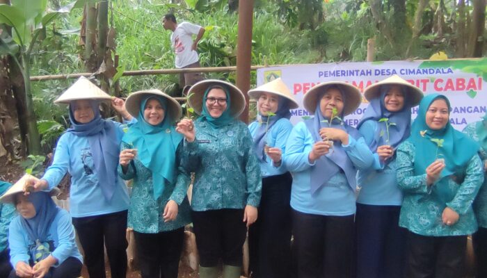 KWT Desa Cimandala Tanam Cabai dan Kangkung, dr. Christy: Dukung Program Ketahanan Pangan