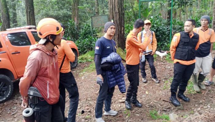Pria 60 Tahun Dikabarkan Hilang di Gunung Halimun Salak, Pencarian Masih Berlangsung