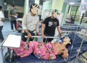 Diduga Cemburu, Kakak-Adik di Ciseeng Ditikam Si Unyil