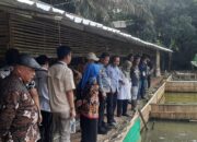 Ketapang Desa Kemang Bogor Diserbu Kades dari Kabupaten di Sumatera Utara