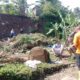 1 Unit Motor dan Kandang Domba Berisi 20 Ekor Tertimpa Turap Villa di Tamansari