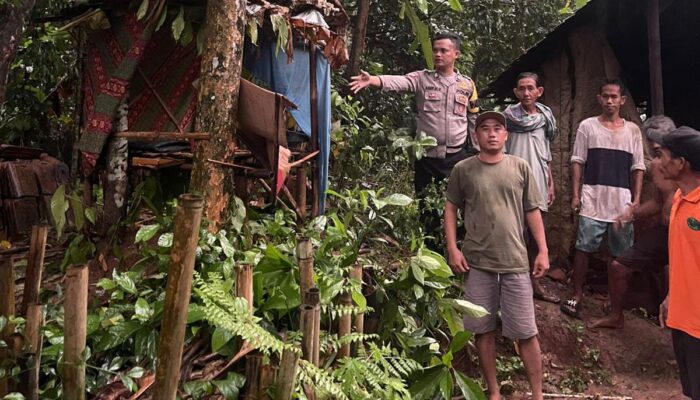 2 Pelajar yang Sedang Meneduh di Saung Rumpin Tersambar Petir, 1 Tewas dan 1 Kritis
