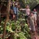 2 Pelajar yang Sedang Meneduh di Saung Rumpin Tersambar Petir, 1 Tewas dan 1 Kritis
