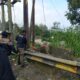 Tata Kawasan Wisata, Tim Gabungan Pemkab Bogor Bersihkan Spanduk dan Sampah Ilegal di Jalan Raya Puncak