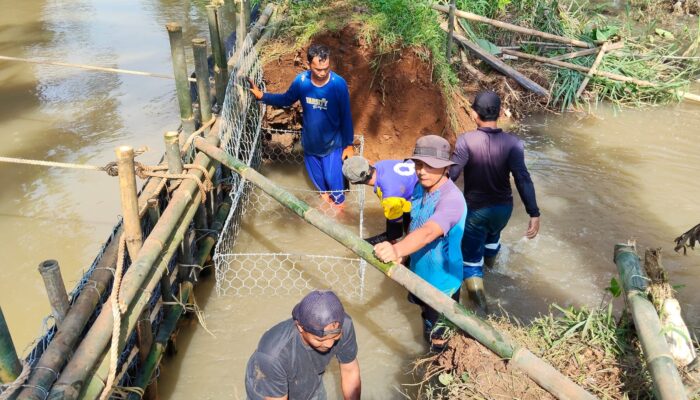 Jadi Penyebab Terendamnya Hektaran Tambak Ikan di Ciseeng, Pemkab Bogor Gercep Perbaiki Tanggul Sungai Induk Sasak yang Jebol