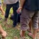 Terduga Pelaku Curanmor di Rancabungur Babak Belur Usai Diamuk Warga