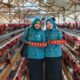 TP PKK Kecamatan Kemang Diajak Panen Ayam Petelur di Desa Pondok Udik