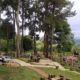 Gokil! Tempat Wisata di Bogor ini Murah Banget, Cukup Bayar Rp5 Ribu aja